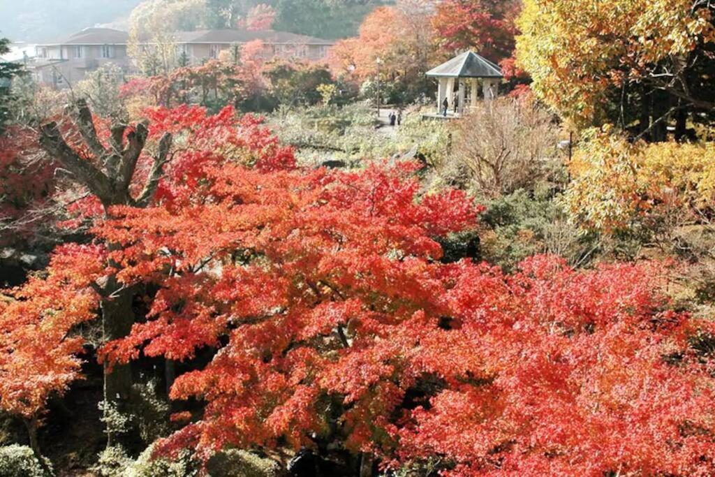 Forest Villa Hakone Eksteriør billede