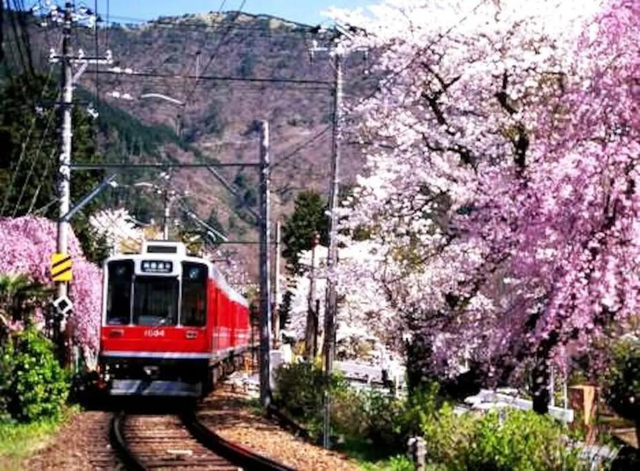 Forest Villa Hakone Eksteriør billede